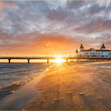 Waldfriede Gelb * Heringsdorf (Usedom)