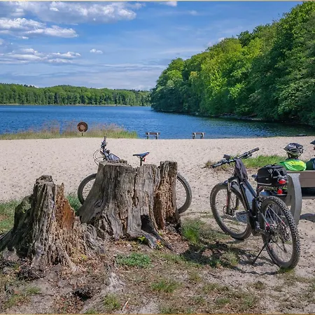 Waldfriede Gelb Heringsdorf (Usedom)