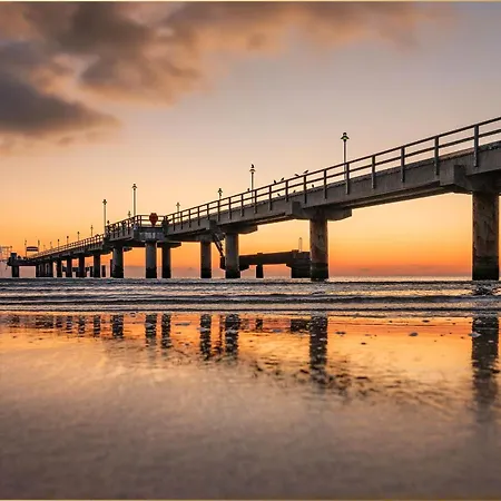 Waldfriede Gelb * Heringsdorf (Usedom)