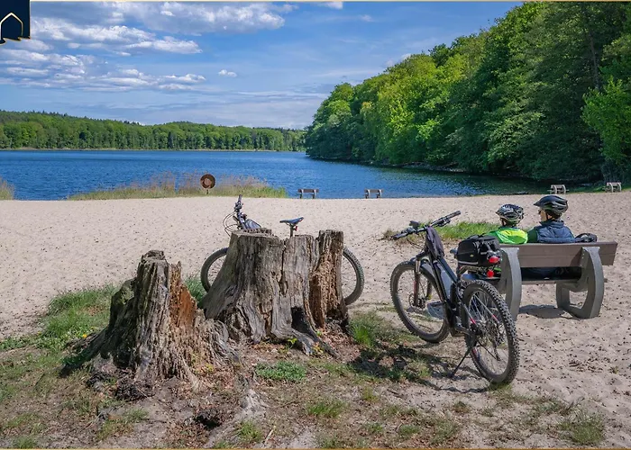 Waldfriede Gelb Heringsdorf (Usedom)
