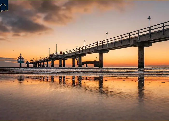 Waldfriede Gelb * Heringsdorf (Usedom)